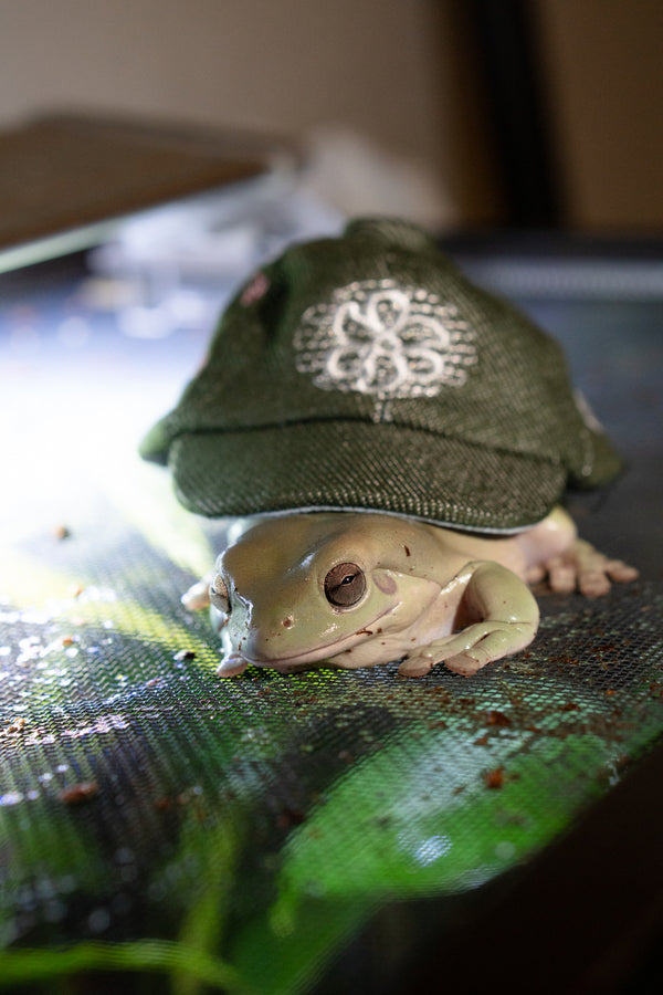 mini cap keychain - green eggs &...