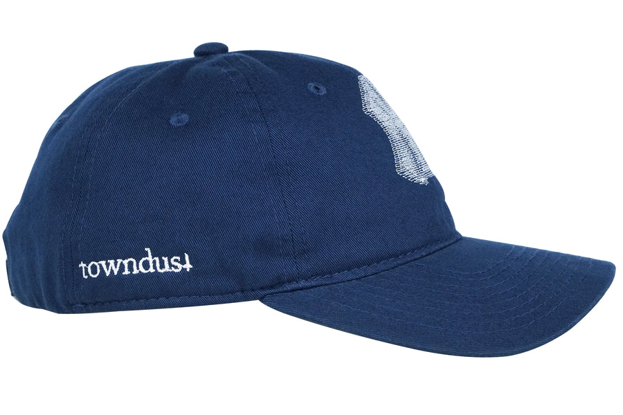 NY blur - dad cap