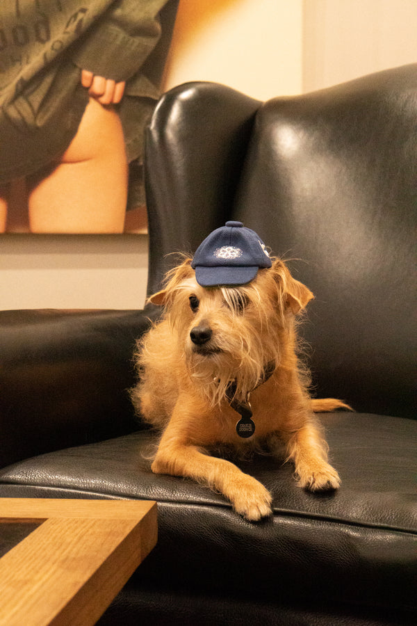 mini cap keychain - night sprite